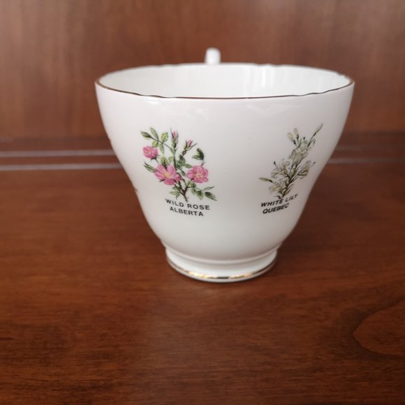 Royal Consort and Royal Darwood Canada related cup&saucer - Picture 7 of 10